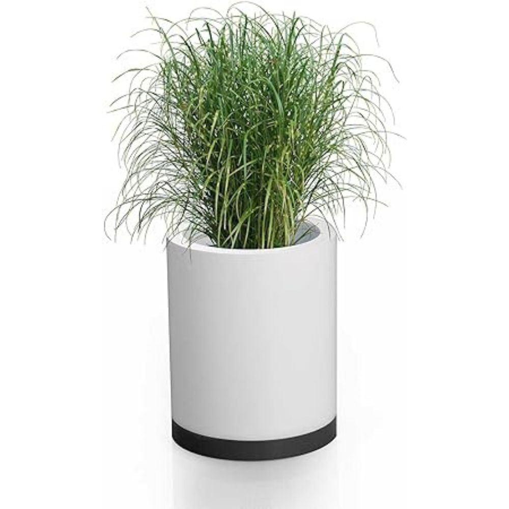 Multi-Function Pen Holder