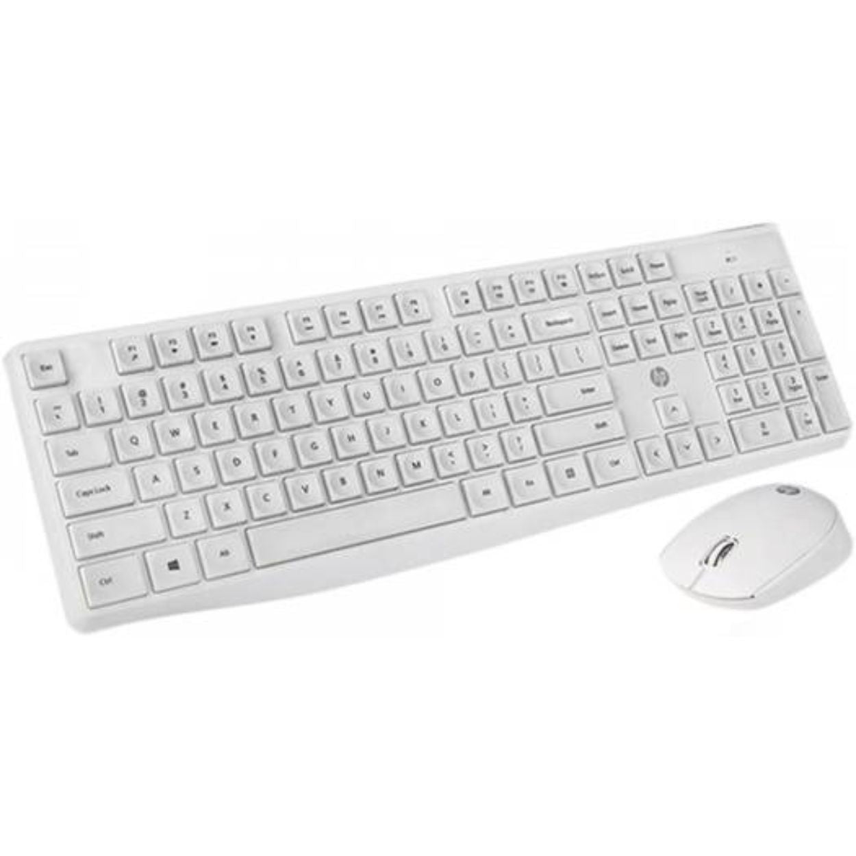 HP Wireless Keyboard and Mouse Combo - CS10