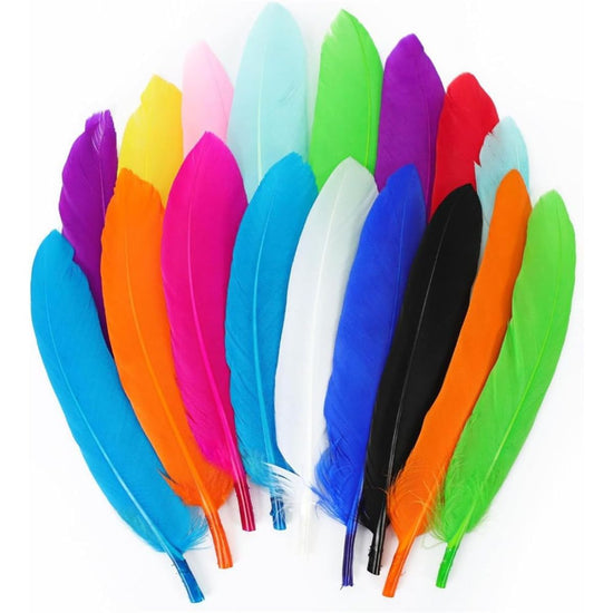 Colorful Feathers, (Pack Of 12 Pcs) Assorted Colors Craft Feathers, Co ...